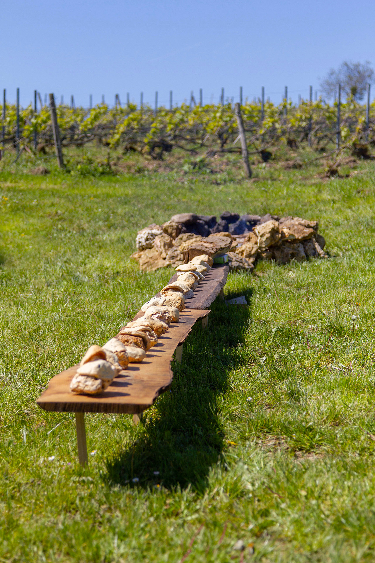 aire_food_banquet_scientifique_terres_commun_bread_cooking_outside