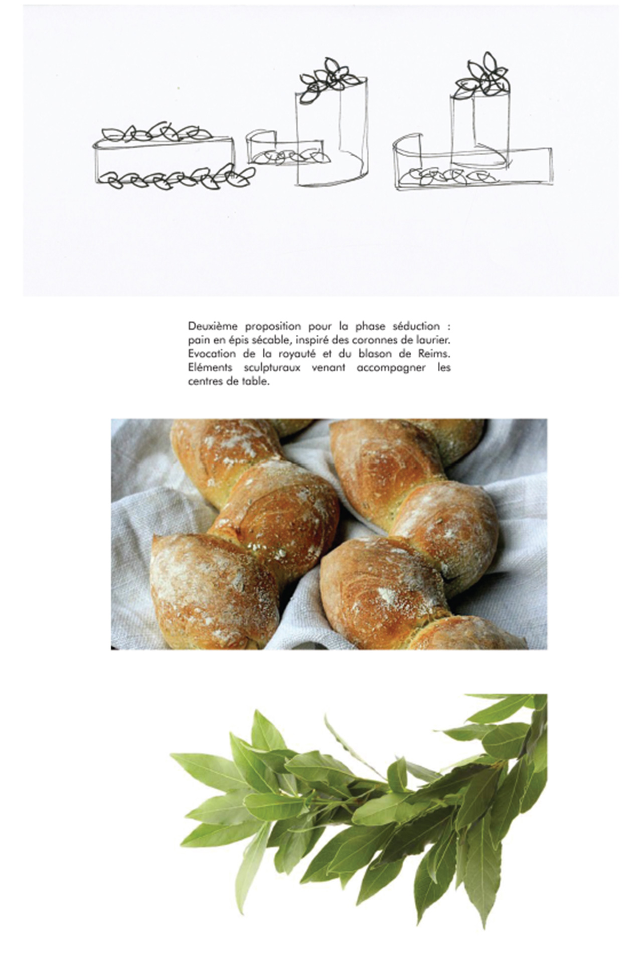 master_design_culinaire_food_banquet_scientifique_gastronomie_diplomatie_recherche_12